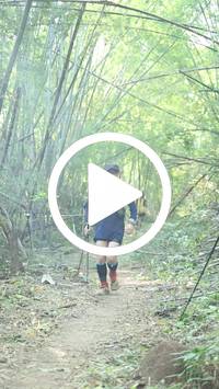 BIB:  <button type="button" onclick="openModal(28041993)" class="btn btn-primary btn-sm float-right" data-toggle="modal" data-target=".modal-high-quality">
                <i class="fa fa-download"></i> Download
                </button>